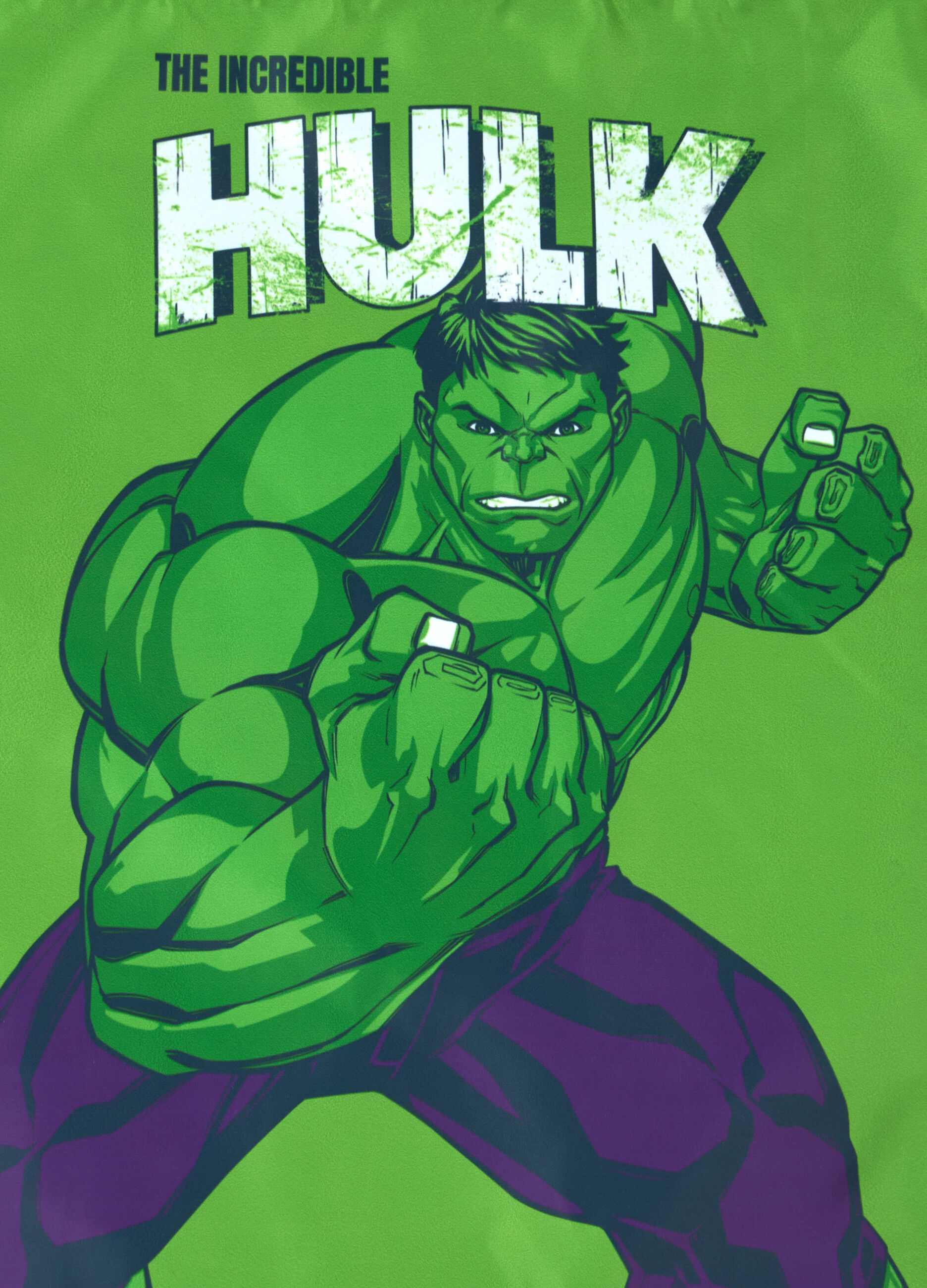 Shoe bag Hulk_1